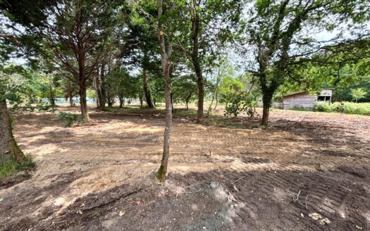 Terrain de 5500 m² à Labenne