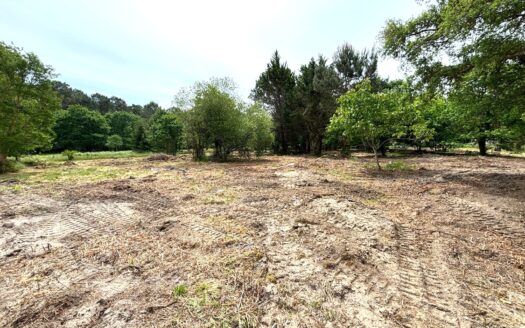 Terrain de 5500 m² à Labenne